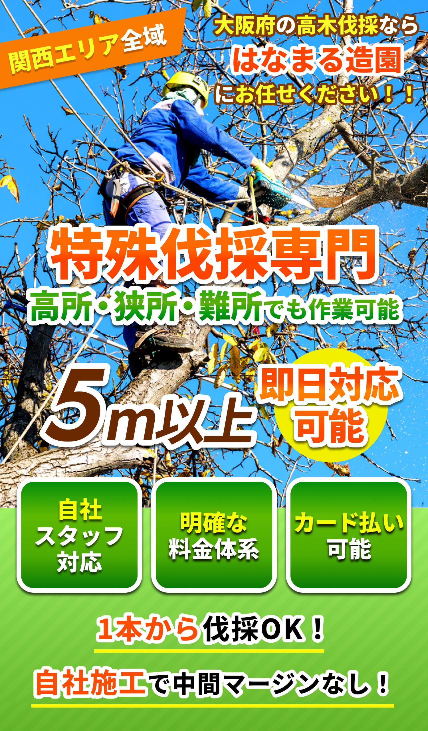 大阪府の特殊伐採